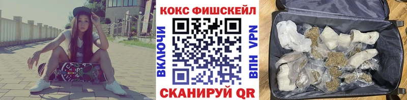 купить закладку  Шебекино  COCAIN Эквадор 