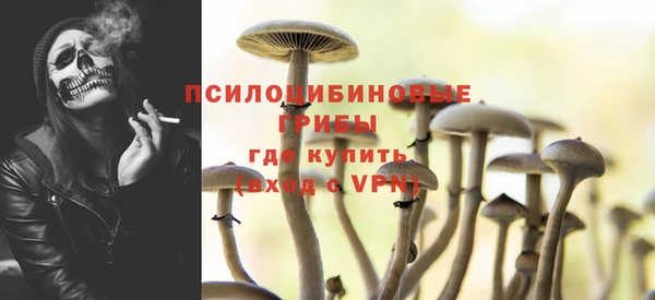 apvp Алексин