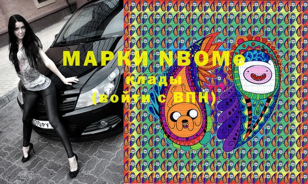 прущие грибы Суровикино