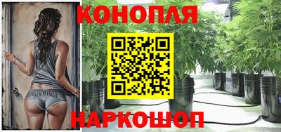 гидра Пушкино