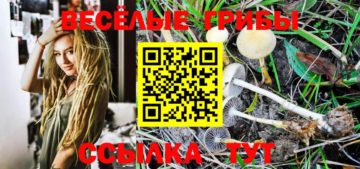 где продают наркотики  Вход с VPN  Шебекино  Галлюциногенные грибы Psilocybine cubensis  Галлюциногенные грибы MAGIC MUSHROOMS 