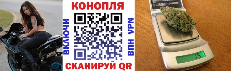 Бошки Шишки Amnesia  хочу   darknet формула  Шебекино 